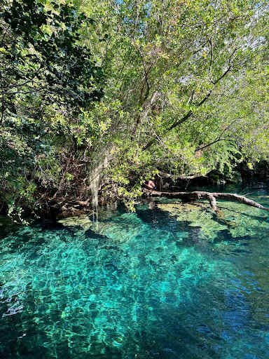 We lucked out in the Dominican Republic for cover model Kim Kardashian. This ecological reserve had an abundance of gorgeous lagoons to choose from.